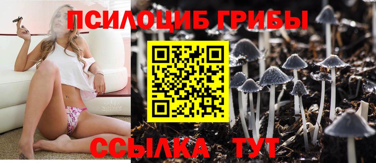 Псилоцибиновые грибы Magic Shrooms  Вход с VPN  Псилоцибиновые грибы Cubensis  Луховицы 